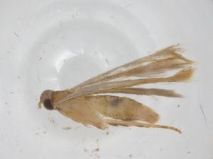  ( - CBG-A34220-D11)  @11 [ ] CreativeCommons - Attribution Share - Alike (2024) Centre for Biodiversity Genomics Centre for Biodiversity Genomics