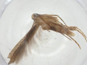  ( - CBG-A34551-B10)  @11 [ ] CreativeCommons - Attribution Share - Alike (2024) Centre for Biodiversity Genomics Centre for Biodiversity Genomics