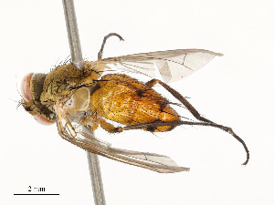  ( - CBG-A51909-D07)  @11 [ ] CreativeCommons - Attribution Share - Alike (2024) CBG Photography Group Centre for Biodiversity Genomics