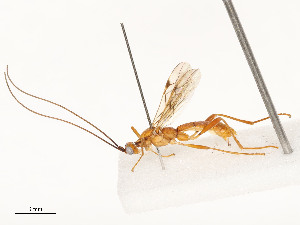  ( - CBG-A51910-F12)  @11 [ ] CreativeCommons - Attribution Share - Alike (2024) CBG Photography Group Centre for Biodiversity Genomics