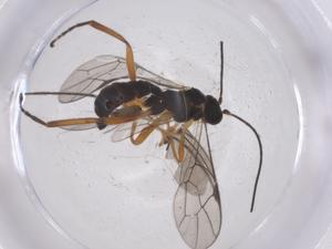  ( - CBG-A53541-E04)  @11 [ ] CreativeCommons - Attribution Share - Alike (2024) Centre for Biodiversity Genomics Centre for Biodiversity Genomics