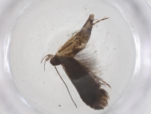  ( - CBG-A54574-B02)  @11 [ ] CreativeCommons - Attribution Share - Alike (2024) Centre for Biodiversity Genomics Centre for Biodiversity Genomics