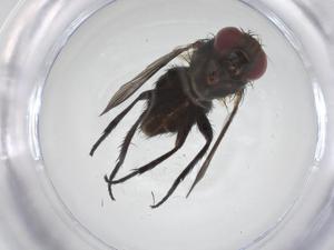  ( - CBG-A58375-C12)  @11 [ ] CreativeCommons - Attribution Share - Alike (2024) Centre for Biodiversity Genomics Centre for Biodiversity Genomics