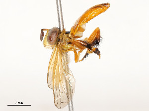  ( - CBG-A58586-G07)  @11 [ ] CreativeCommons - Attribution Share - Alike (2024) CBG Photography Group Centre for Biodiversity Genomics