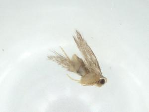  ( - CBG-A34192-C03)  @11 [ ] CreativeCommons - Attribution Share - Alike (2024) Centre for Biodiversity Genomics Centre for Biodiversity Genomics