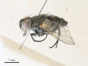  ( - CBG-A35192-H10)  @11 [ ] CreativeCommons - Attribution Share - Alike (2024) CBG Photography Group Centre for Biodiversity Genomics