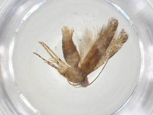  ( - CBG-A33661-E04)  @11 [ ] CreativeCommons - Attribution Share - Alike (2024) Centre for Biodiversity Genomics Centre for Biodiversity Genomics