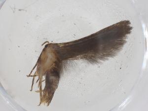  ( - CBG-A43385-B10)  @11 [ ] CreativeCommons - Attribution Share - Alike (2024) Centre for Biodiversity Genomics Centre for Biodiversity Genomics