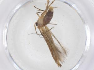  ( - CBG-A41186-B05)  @11 [ ] CreativeCommons - Attribution Share - Alike (2024) Centre for Biodiversity Genomics Centre for Biodiversity Genomics