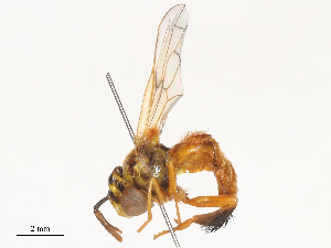  ( - CBG-A41841-A02)  @11 [ ] CreativeCommons - Attribution Share - Alike (2024) CBG Photography Group Centre for Biodiversity Genomics