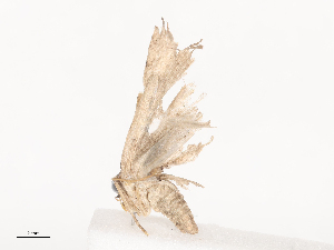  ( - CBG-A44361-E08)  @11 [ ] CreativeCommons - Attribution Share - Alike (2024) CBG Photography Group Centre for Biodiversity Genomics