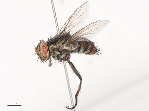  ( - CBG-A40191-E08)  @11 [ ] CreativeCommons - Attribution Share - Alike (2024) CBG Photography Group Centre for Biodiversity Genomics