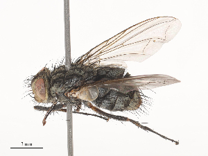  ( - CBG-A41822-E04)  @11 [ ] CreativeCommons - Attribution Share - Alike (2024) CBG Photography Group Centre for Biodiversity Genomics