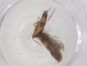  ( - CBG-A41374-D02)  @11 [ ] CreativeCommons - Attribution Share - Alike (2024) Centre for Biodiversity Genomics Centre for Biodiversity Genomics