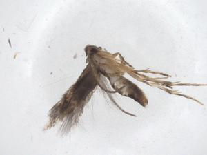  ( - CBG-A42866-D07)  @11 [ ] CreativeCommons - Attribution Share - Alike (2024) Centre for Biodiversity Genomics Centre for Biodiversity Genomics