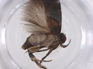  ( - CBG-A42533-B07)  @11 [ ] CreativeCommons - Attribution Share - Alike (2024) Centre for Biodiversity Genomics Centre for Biodiversity Genomics