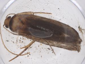  ( - CBG-A41410-F02)  @11 [ ] CreativeCommons - Attribution Share - Alike (2024) Centre for Biodiversity Genomics Centre for Biodiversity Genomics