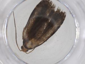  ( - CBG-A41421-F10)  @11 [ ] CreativeCommons - Attribution Share - Alike (2024) Centre for Biodiversity Genomics Centre for Biodiversity Genomics