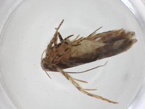  ( - CBG-A41427-H02)  @11 [ ] CreativeCommons - Attribution Share - Alike (2024) Centre for Biodiversity Genomics Centre for Biodiversity Genomics