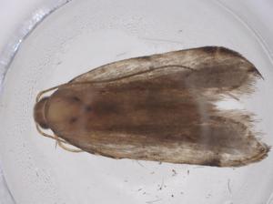  ( - CBG-A42892-A08)  @11 [ ] CreativeCommons - Attribution Share - Alike (2024) Centre for Biodiversity Genomics Centre for Biodiversity Genomics