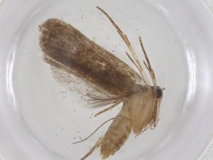  ( - CBG-A42898-B02)  @11 [ ] CreativeCommons - Attribution Share - Alike (2024) Centre for Biodiversity Genomics Centre for Biodiversity Genomics