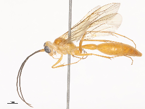  ( - CBG-A40216-E10)  @11 [ ] CreativeCommons - Attribution Share - Alike (2024) CBG Photography Group Centre for Biodiversity Genomics