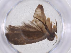  ( - CBG-A43271-D03)  @11 [ ] CreativeCommons - Attribution Share - Alike (2024) Centre for Biodiversity Genomics Centre for Biodiversity Genomics