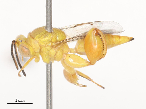  ( - CBG-A44391-C06)  @11 [ ] CreativeCommons - Attribution Share - Alike (2024) CBG Photography Group Centre for Biodiversity Genomics