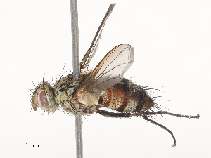  ( - CBG-A44391-F02)  @11 [ ] CreativeCommons - Attribution Share - Alike (2024) CBG Photography Group Centre for Biodiversity Genomics