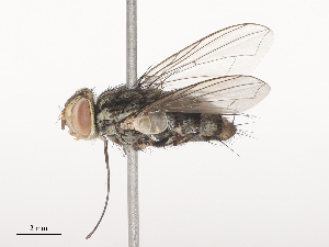  ( - CBG-A44354-B10)  @11 [ ] CreativeCommons - Attribution Share - Alike (2024) CBG Photography Group Centre for Biodiversity Genomics