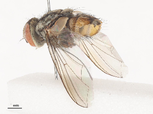  ( - CBG-A44354-E08)  @11 [ ] CreativeCommons - Attribution Share - Alike (2024) CBG Photography Group Centre for Biodiversity Genomics