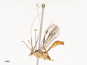  ( - CBG-A44359-E05)  @11 [ ] CreativeCommons - Attribution Share - Alike (2024) CBG Photography Group Centre for Biodiversity Genomics