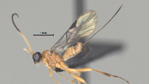  ( - CCDB-38206-A04)  @11 [ ] CreativeCommons - Attribution Share Alike (2024) CBG Photography Group Centre for Biodiversity Genomics