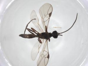  ( - CCDB-28460-E10)  @11 [ ] CreativeCommons - Attribution Share - Alike (2023) Centre for Biodiversity Genomics Centre for Biodiversity Genomics