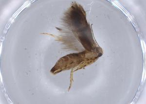  ( - BIOUG66413-C03)  @11 [ ] CreativeCommons - Attribution (2021) Centre for Biodiversity Genomics Centre for Biodiversity Genomics