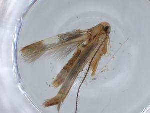  ( - BIOUG67752-G12)  @11 [ ] CreativeCommons - Attribution (2021) Centre for Biodiversity Genomics Centre for Biodiversity Genomics