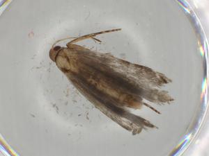  ( - BIOUG67761-D10)  @11 [ ] CreativeCommons - Attribution (2021) Centre for Biodiversity Genomics Centre for Biodiversity Genomics