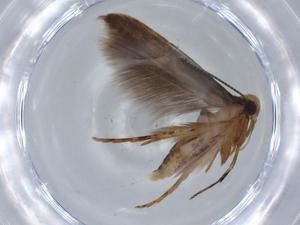  ( - BIOUG67908-C04)  @11 [ ] CreativeCommons - Attribution (2021) Centre for Biodiversity Genomics Centre for Biodiversity Genomics