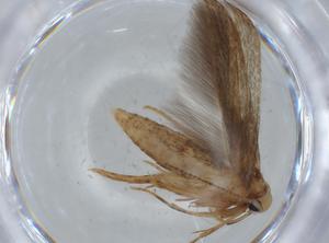  ( - BIOUG67929-B11)  @11 [ ] CreativeCommons - Attribution (2021) Centre for Biodiversity Genomics Centre for Biodiversity Genomics