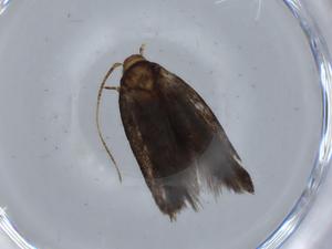  ( - BIOUG67942-B04)  @11 [ ] CreativeCommons - Attribution (2021) Centre for Biodiversity Genomics Centre for Biodiversity Genomics