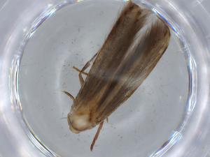  ( - BIOUG67942-C06)  @11 [ ] CreativeCommons - Attribution (2021) Centre for Biodiversity Genomics Centre for Biodiversity Genomics