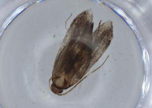  ( - BIOUG67942-D02)  @11 [ ] CreativeCommons - Attribution (2021) Centre for Biodiversity Genomics Centre for Biodiversity Genomics