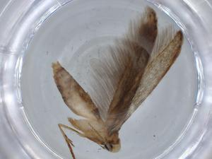  ( - BIOUG67942-D12)  @11 [ ] CreativeCommons - Attribution (2021) Centre for Biodiversity Genomics Centre for Biodiversity Genomics