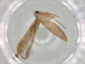  ( - BIOUG67975-B08)  @11 [ ] CreativeCommons - Attribution (2021) Centre for Biodiversity Genomics Centre for Biodiversity Genomics