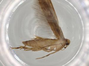  ( - BIOUG67979-A07)  @11 [ ] CreativeCommons - Attribution (2021) Centre for Biodiversity Genomics Centre for Biodiversity Genomics