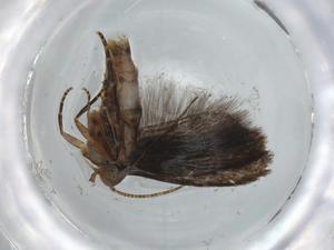  ( - BIOUG68008-A01)  @11 [ ] CreativeCommons - Attribution (2021) Centre for Biodiversity Genomics Centre for Biodiversity Genomics