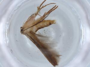  ( - BIOUG67766-C09)  @11 [ ] CreativeCommons - Attribution (2021) Centre for Biodiversity Genomics Centre for Biodiversity Genomics