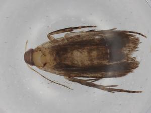  ( - BIOUG80612-B10)  @11 [ ] CreativeCommons - Attribution (2022) Centre for Biodiversity Genomics Centre for Biodiversity Genomics