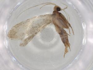  ( - BIOUG80630-C09)  @11 [ ] CreativeCommons - Attribution (2022) Centre for Biodiversity Genomics Centre for Biodiversity Genomics