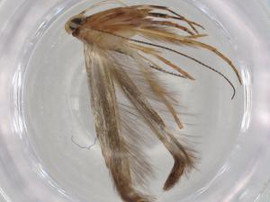  ( - BIOUG80630-C10)  @11 [ ] CreativeCommons - Attribution (2022) Centre for Biodiversity Genomics Centre for Biodiversity Genomics